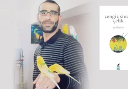 Çelik'ten şiir kitabı: Serdestan 