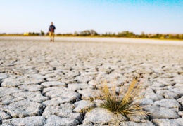 Çiftçilik de ölüyor