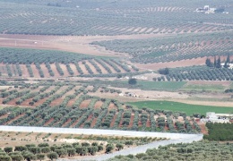 Halkımıza sözümüzdür, Efrîn'i özgürleştireceğiz