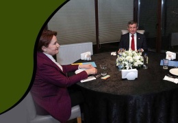 Majestelerinin Muhalefeti