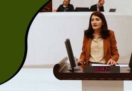 Semra Güzel’in fotoğrafı