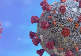 Milyarderler için salgın 