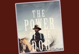 Köpeğin Gücü 12 dalda aday