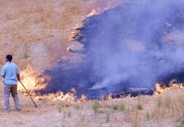 3 bin 399 orman yangını