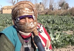 Dêrazorlu kadın çiftçilerin başarı hikayesi