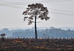 Amazon’u bitirdiler!