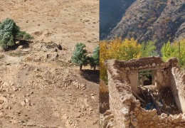 Yakılan Koye Ser'in hikayesi