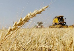 Rusya tahıl ihracatını yasakladı