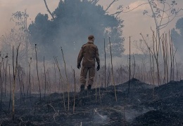 Halk düşmanı devlet