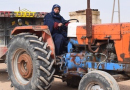 Eyn El-Camûs’ta kadınlar yaşamın damarı
