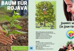 Her çocuğa bir ağaç