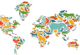 Biyoçeşitlilik nedir ve nasıl korunur?