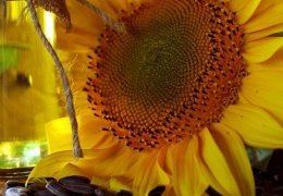 Rusya’dan ayçiçeği yağı gelmeyecek