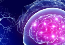 MS’e feminist rötuş