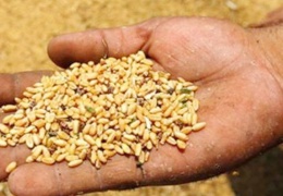 Savaş gıda fiyatlarını uçurdu