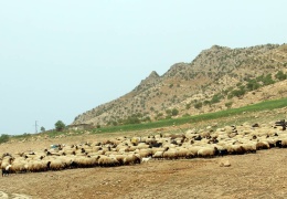 Koçerlere işgal barikatı