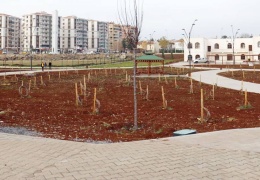 Bağ evinde yolsuzluk