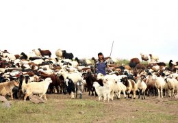 Artık kimse yaylalara çıkmıyor 