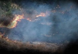 Yakıyor ve yasaklıyor