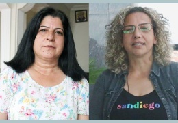 Tecrit sadece Kürtlerin sorunu değil
