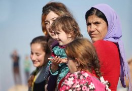 Fermana cevap siyasi statüdür