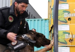 Kokain kaçakçılığının merkezi Türkiye