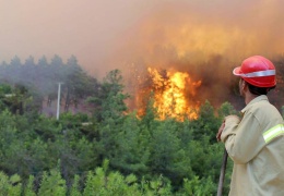 İklim krizi değil rant yangını