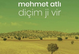 Diçim Ji Vir