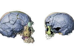 Beynimiz 160.000 yıldır hep aynı!