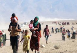 Şengal fermanı 7. yılında 