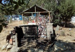 Dersim’de ‘yeşil’ soykırım