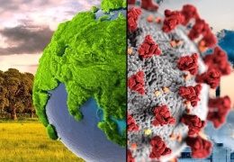 İklim değişikliği ve viral patlama