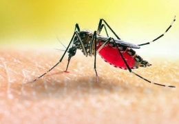 Isınan havada ölümcül tehlike