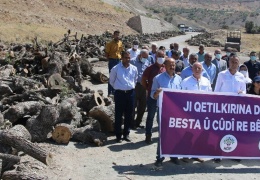 Kürdistan’da doğa katliamı