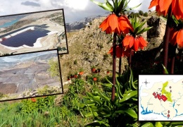 İliç’ten Dersim’e: Sömürgeciler altın vadedilmiş topraklarda