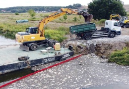 Felaket büyüyor: 100 ton ölü balık