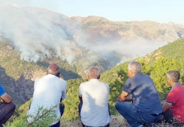 Dersim’de devletin ekoloji yıkım aygıtları!