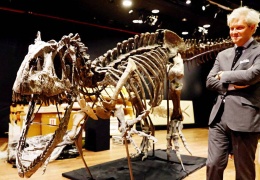 Zenginlerin yeni oyuncağı: Dinozor iskeleti