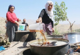 Cudi’de pekmez zamanı