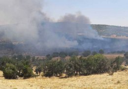 Cudi’den Lice’ye ormanlar yakılıyor