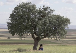 Lêger: Orta Anadolu Kürtlerinin hikayesi
