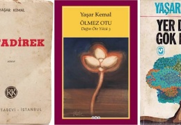 Yaşar Kemal ve Dağın Öte Yüzü