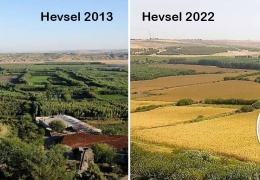 Hevsel kayyum eliyle yok ediliyor