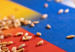 Tahıl ihracatı durdu