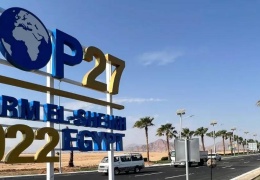 COP27: İşbirliği yapmak ya da yok olmak