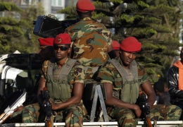 Etiyopya ve Tigray kırmızı hat kurdu 