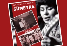 Serçelerin Süvarisi