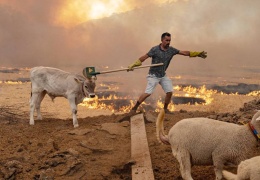 Türkiye'nin iklim karnesi: Berbat
