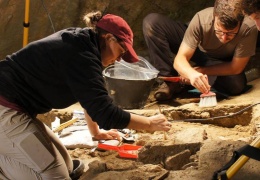 Neve, tarih öncesi bebek