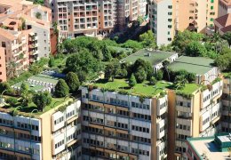 Frankfurt’ta yeşil çatılar